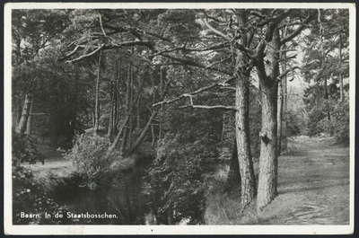 16912 Gezicht in het bos bij de Hooge Vuursche te Baarn.